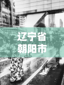 辽宁省朝阳市疫情最新消息 · 辽宁省朝阳市快消息