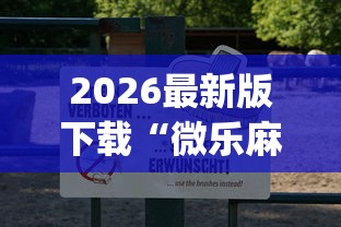 2026最新版下载“微乐麻将怎么免费开挂”(详细透视教程)