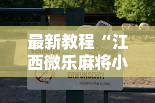 最新教程“江西微乐麻将小程序下载挂”开挂辅助详细步骤