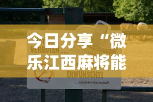今日分享“微乐江西麻将能不能开挂”(必备工具)辅助教学