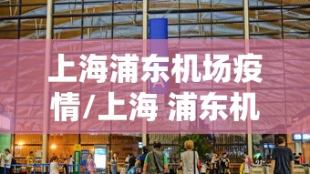 上海浦东机场疫情/上海 浦东机场疫情