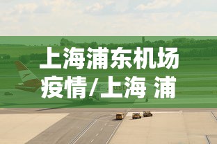 上海浦东机场疫情/上海 浦东机场疫情