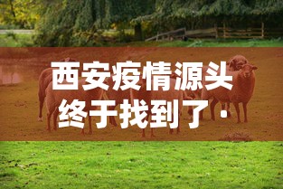 西安疫情源头终于找到了 · 西安疫情来源