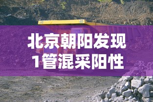 北京朝阳发现1管混采阳性