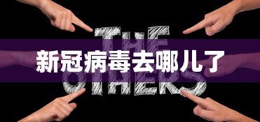 新冠病毒去哪儿了
