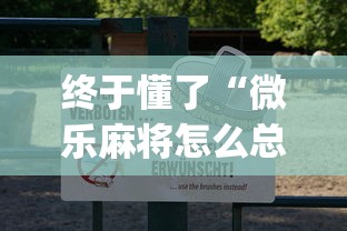 终于懂了“微乐麻将怎么总是输!专业师傅带你一起了解(确实有挂)