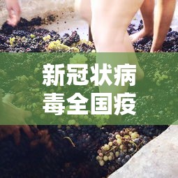 新冠状病毒全国疫情/新冠状病毒全国疫情分布图