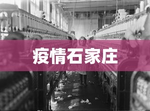 疫情石家庄