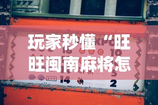 玩家秒懂“旺旺闽南麻将怎么打才会赢”开挂(透视)辅助教程