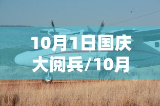 10月1日国庆大阅兵/10月1日国庆大阅兵作文