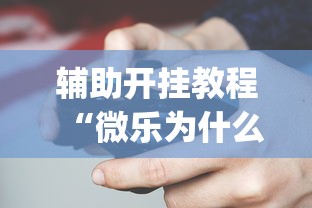 辅助开挂教程“微乐为什么一直输?_游戏_玩家_工具