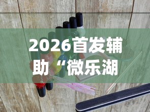 2026首发辅助“微乐湖南麻将怎么能赢?_游戏_玩家_工具