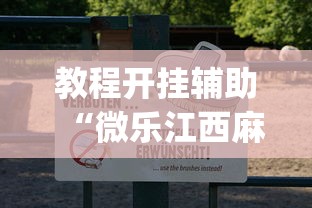 教程开挂辅助“微乐江西麻将是否有挂”(曝光透视必备猫腻)