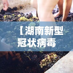 【湖南新型冠状病毒 → 实时更新湖南新型冠状】