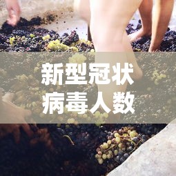 新型冠状病毒人数