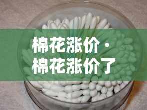 棉花涨价 · 棉花涨价了吗最新消息