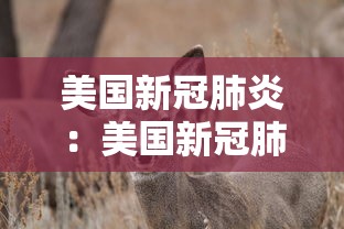 美国新冠肺炎：美国新冠肺炎疫情