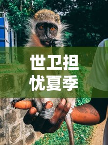 世卫担忧夏季猴痘传播恐加快：美近20年来现首例猴痘病例