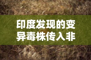 印度发现的变异毒株传入非洲/印度变异毒株传播