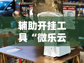 辅助开挂工具“微乐云南麻将万能开挂器	”有挂详细开挂教程