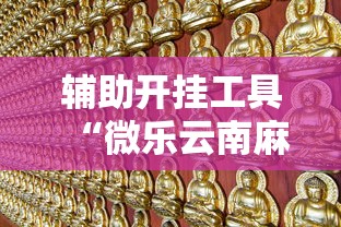 辅助开挂工具“微乐云南麻将万能开挂器”有挂详细开挂教程