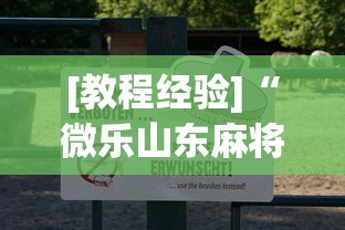 [教程经验]“微乐山东麻将免费挂”(透视挂)辅助透视教程