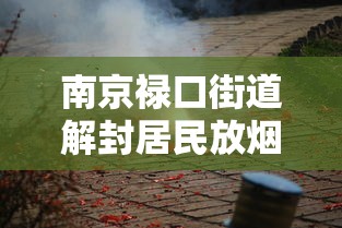 南京禄口街道解封居民放烟花庆祝 · 南京禄口街道今日解封