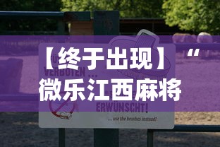 【终于出现】“微乐江西麻将有挂吗!专业师傅带你一起了解(确实有挂)
