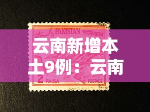 云南新增本土9例：云南 新增 本土