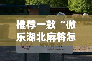 推荐一款“微乐湖北麻将怎么开挂”揭秘透视辅助万能挂