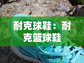 耐克球鞋：耐克篮球鞋