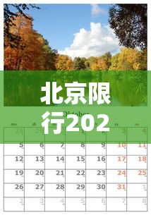 北京限行2024年5月：北京限行轮换2021年4月4日