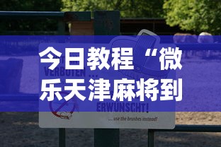 今日教程“微乐天津麻将到底有没有挂”(透视挂)辅助透视教程