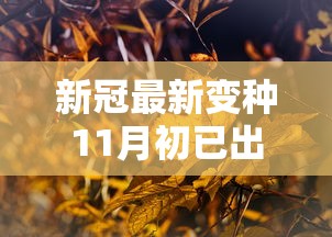 新冠最新变种11月初已出现：新冠11月出现反弹