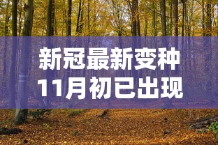 新冠最新变种11月初已出现：新冠11月出现反弹