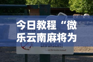 今日教程“微乐云南麻将为什么一直输”详细辅助透视