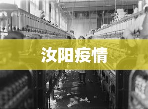 汝阳疫情