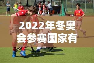 2022年冬奥会参赛国家有哪些：2022年冬奥会举办的国家