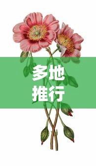 多地推行阳性居家十字花隔离