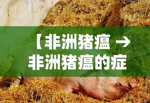 【非洲猪瘟 → 非洲猪瘟的症状及治疗】