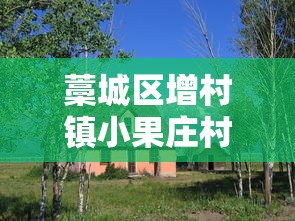藁城区增村镇小果庄村/藁城区增村镇小果庄村 房玉涛