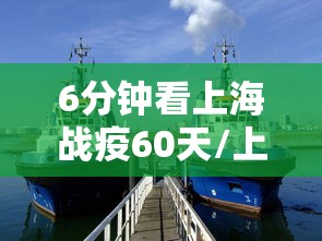 6分钟看上海战疫60天/上海战疫日记