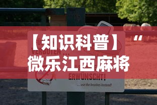 辅助开挂神器“微乐广西麻将怎么打才会赢呢”真实开挂技巧分享