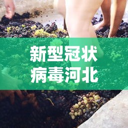 新型冠状病毒河北：新型冠状病毒 河北