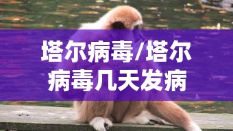 塔尔病毒/塔尔病毒几天发病