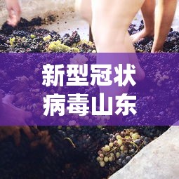 新型冠状病毒山东