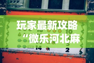 玩家最新攻略“微乐河北麻将怎么打才会赢”(透视)其实真的有挂