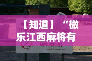 【知道】“微乐江西麻将有挂吗”原来可以开挂