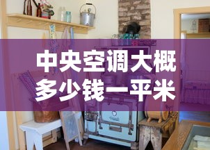 中央空调大概多少钱一平米：中央空调大概多少钱一平米欧瑞博性价比更高
