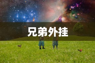 兄弟外挂